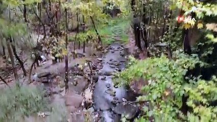 Uludağ’ın eteklerinde altın avı! Adeta servet kazanıyorar