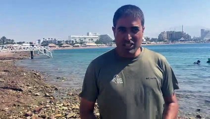 אדם תועד רוכב על צבת ים באילת