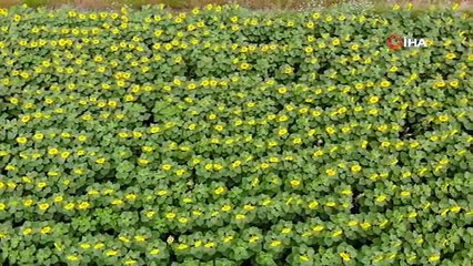 Dünyada 1,3 milyar ton gıda çöpe gidiyor