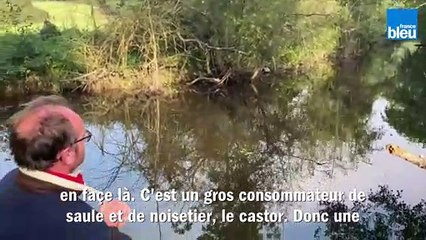 La rivière parfaite pour accueillir le castor : Nicolas Boileau du syndicat JAVO