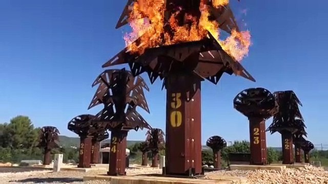 La forêt artificielle au sein du centre de formation des sapeurs-pompiers des Bouches-du-Rhône.
