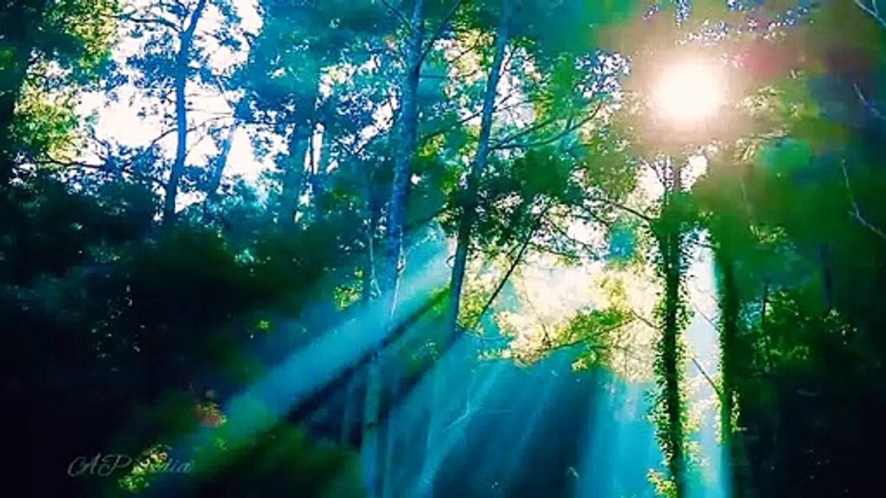 Nature.mpg