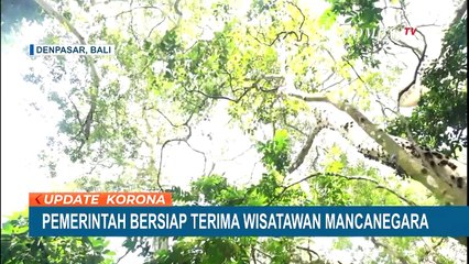Pemerintah Bersiap Terima Wisatawan Mancanegara