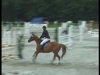 Perelan Ar Park - Vidéo CSO Le Lion d'Angers 2007-07-12