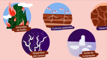Stocker du carbone dans les écosystèmes : de l'enjeu global aux enjeux pour les territoires