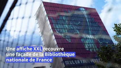 Mangas: Kaiju en grand à la BNF, le marché français toujours florissant