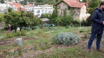 Maîtrise de l’étalement urbain et nature en ville : retour d’expérience de la ville de Clermont-Ferrand