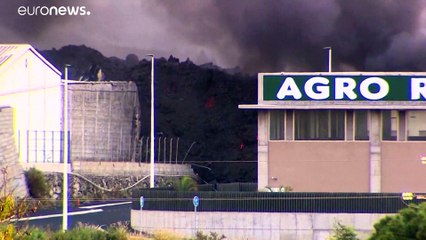 Eruption à La Palma : 3 500 habitants confinés après la destruction d'une cimenterie par la lave