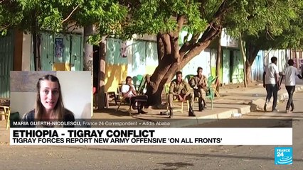 Tigray rebels report new Ethiopian army offensive 'on all fronts'