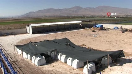 Genç çiftçi Avrupa'da gördüğü çiftliği memleketinde uyguladı