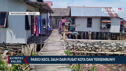 Warga Hanya Gunakan Jalan Titian Kayu, Parigi Kecil, Bagian Banjarmasin yang Perlu Perhatian