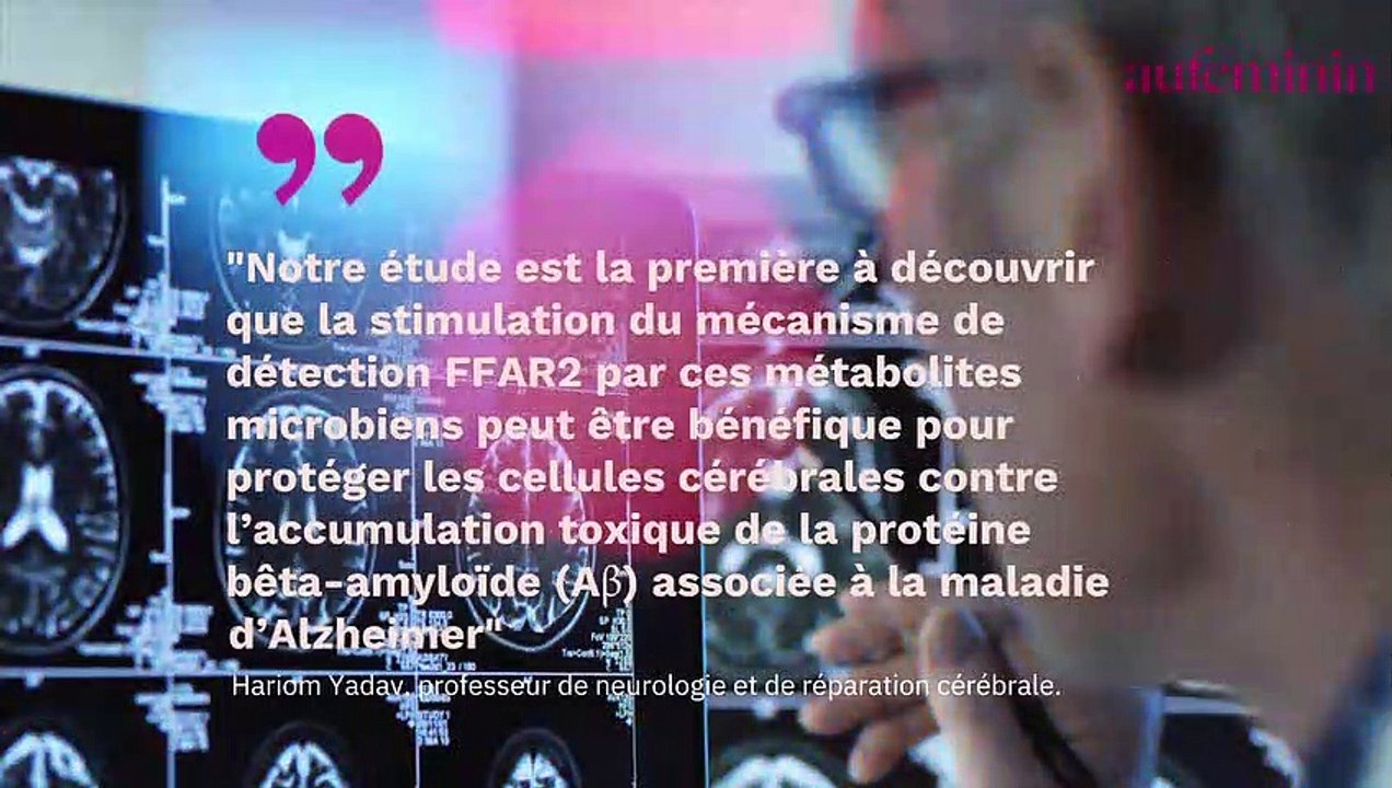Alzheimer : le basilic serait efficace pour prévenir la maladie