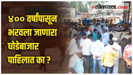 नवरात्रीत येवला शहरात भरवला जातो सर्वात मोठा घोड्यांचा बाजार