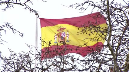 España, con 9 sentencias contrarias en 2020 en TEDH, iguala cifras de Bélgica