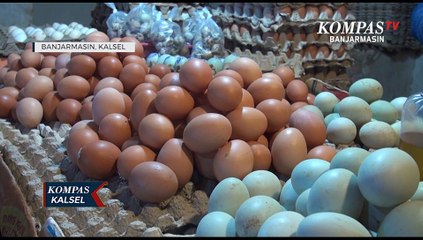 Terdampak Banjir dan Permintaan Lesu, Harga Telur Ayam Ras di Banjarmasin Turun