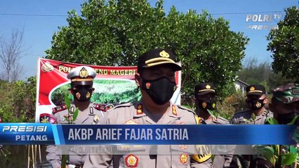 Mageri Segoro, Polres Pekalongan Kembali Tanam Ribuan Bibit Mangrove