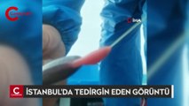 Pendik’te balıkçıların oltasına takılan yapışkan madde tedirgin etti