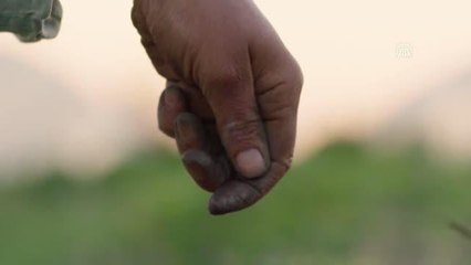 Üreticiler ve idareciler tarımda farkındalık için klipte buluştu