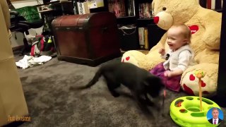 Super Funny Cat Videos - Funny Cats And Babies Playing Together