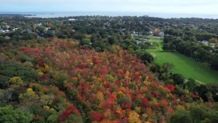 Foliage Fall 2021 — Marblehead, Massachusetts