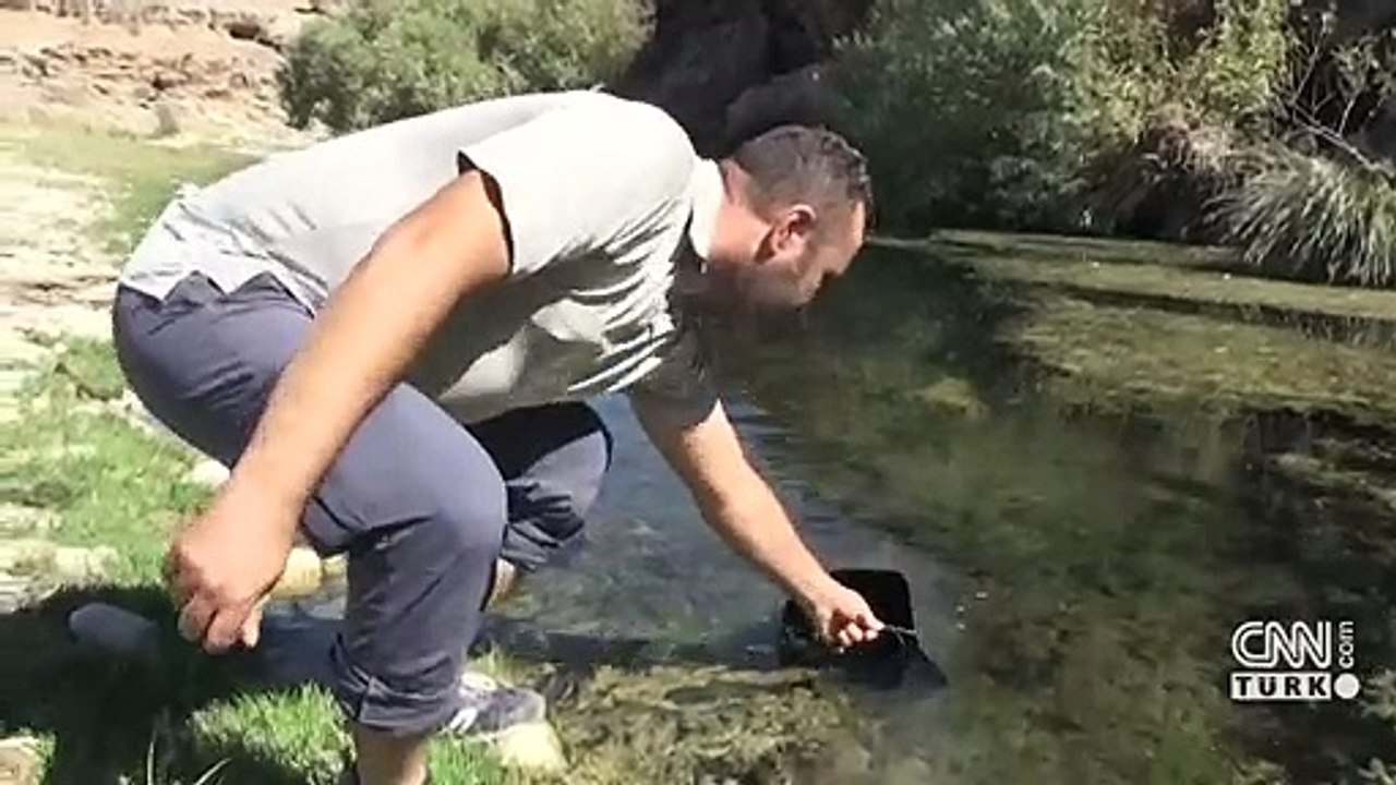 Çorak toprakları yeşile bürüdü