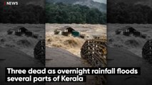 Three dead as overnight rainfall floods several parts of Kerala