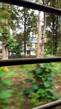 Train Travelling View part 1 | Kerala India