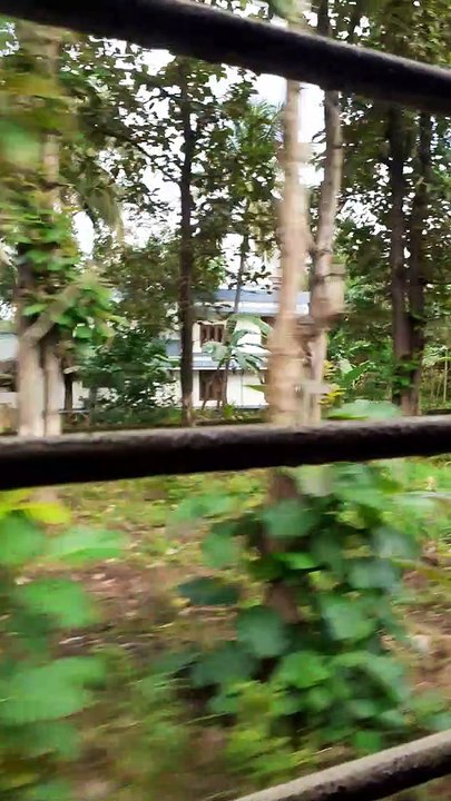 Train Travelling View part 1 | Kerala India