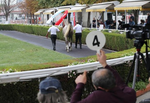 TİGEM tek tay satışından 1 milyon 200 bin liralık rekor gelir elde etti