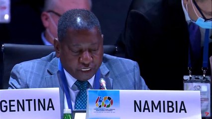 "Today, we pay great tribute to the founding fathers of NAM"