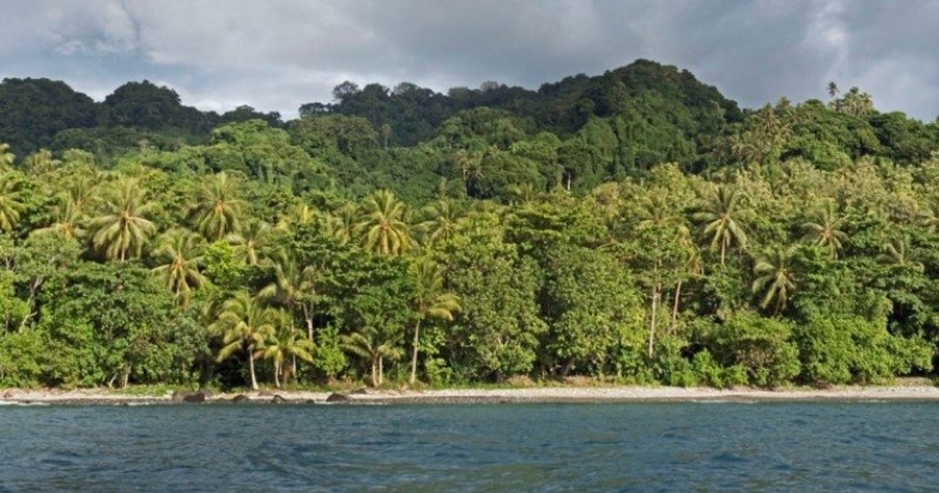 Deux hommes perdus en mer ont réussi à survivre 29 jours en buvant de l'eau de pluie et en mangeant des noix de coco