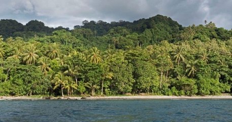 Deux hommes perdus en mer ont réussi à survivre 29 jours en buvant de l'eau de pluie et en mangeant des noix de coco