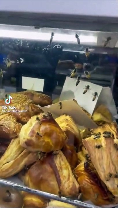 Cette boulangerie à Mexico est envahie de milliers de guêpes