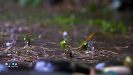 موسيقى مجانية بدون حقوق تصلح لليوتيوب