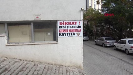 BESLEDİĞİ 10 KEDİNİN EZİLMESİ ÜZERİNE 'EZERSEN KAMERALAR KAYITTA' YAZILI TABELA ASTI