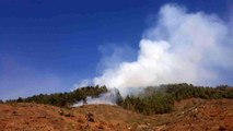 Son dakika haberleri! Kahramanmaraş'ta orman yangını