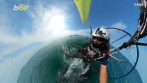 A Close Encounter! Amazing Footage of a Paramotor Pilot’s Run in with Two Blue Whales