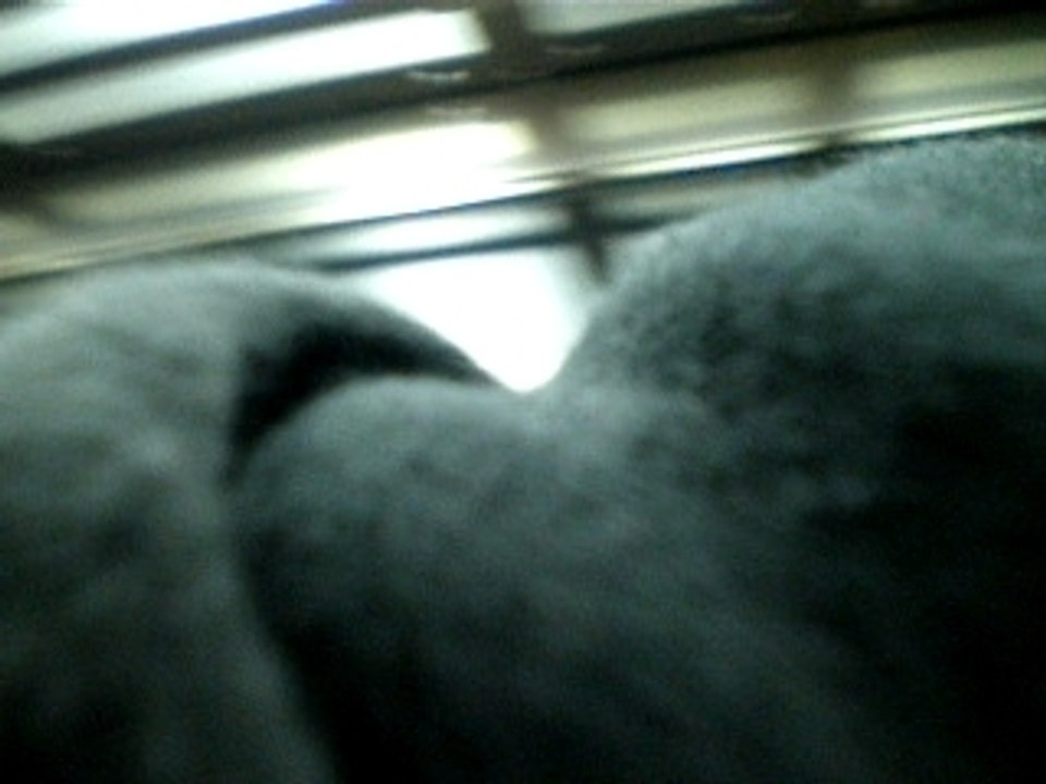 PC080034