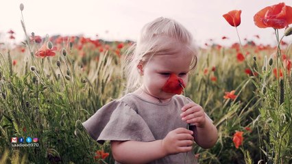 موسيقى روعة بدون حقوق تصلح للربح من اليوتيوب