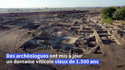 Israël: découverte d'un gigantesque site de production de vin vieux de 1.500 ans