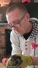 Bird Rescued From Chimney