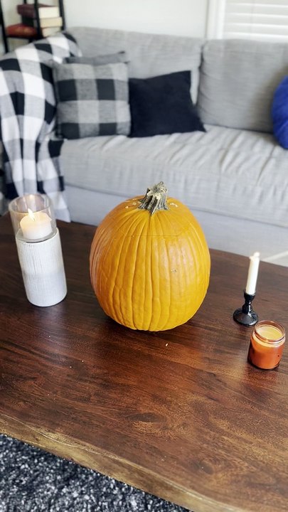 Spider Monkey Sits Inside Pumpkin