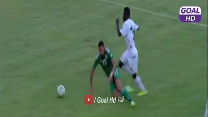 Download Video: ملخص مباراة الجزائر و النيجر 4-0 - أهداف الجزائر اليوم - هدف رياض محرز اليوم