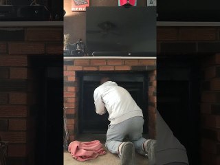 Bird Rescued From Chimney