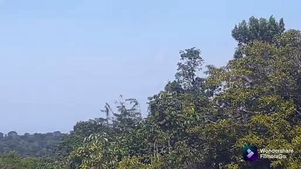 Boeing 737 MAX 8 PR-XMO na aproximação final antes de pousar em Manaus vindo de Fortaleza