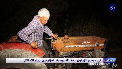 مع بدء الموسم.. حملة لمنع غش زيت الزيتون