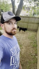Fence Can't Contain This Jumping Dog