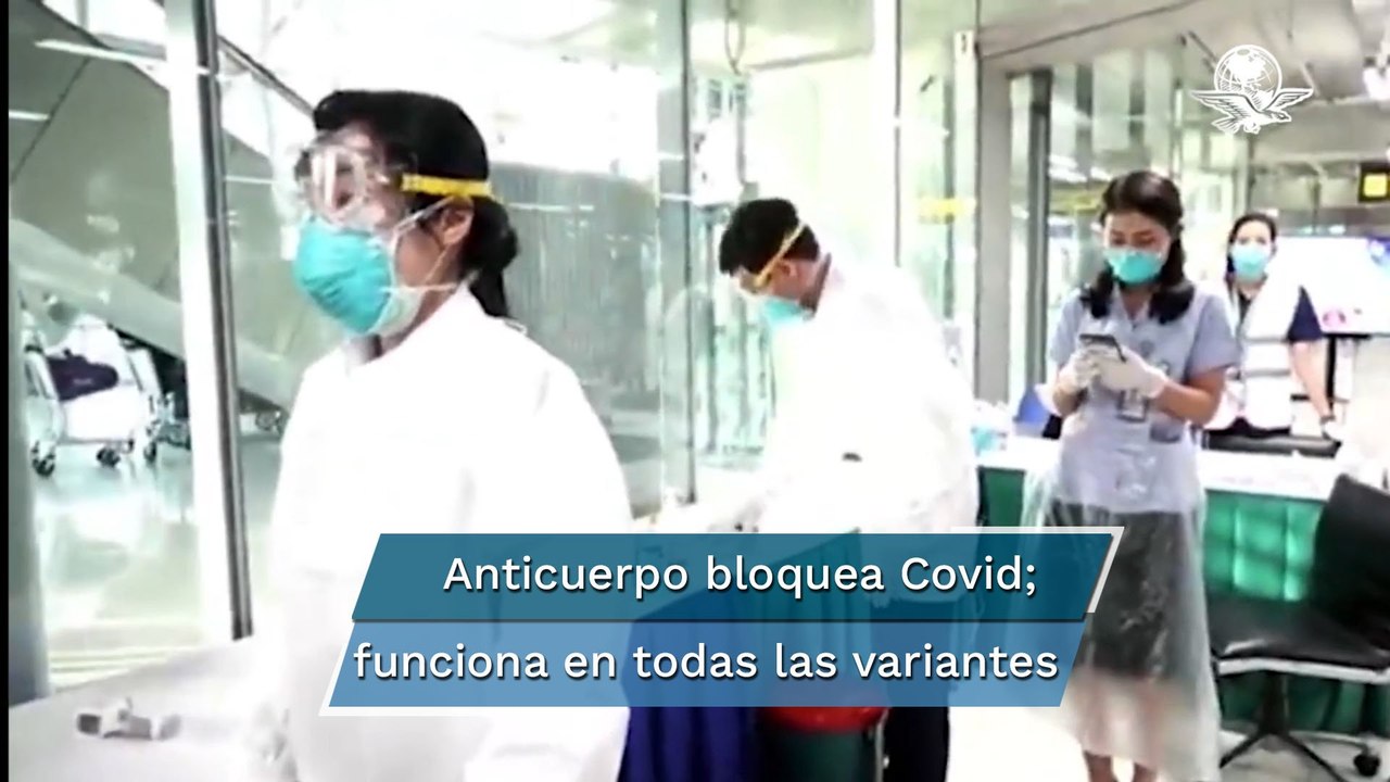 Detectan anticuerpo eficaz contra todas las variantes del Covid-19