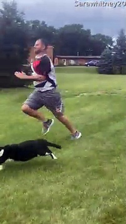 Large Cat Loves to Race