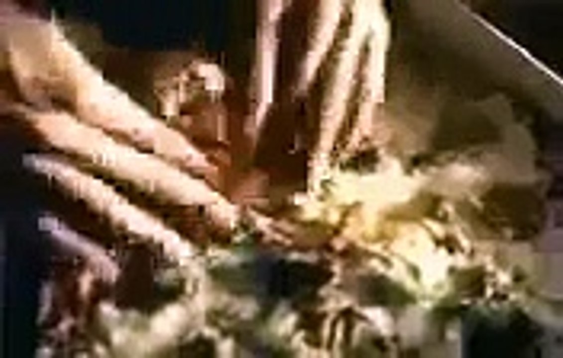 7 Eleven: Pizza Bakery Stix (1999), image size:1131x720